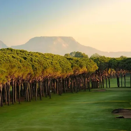 Piverd Del Golf 74 * Pals